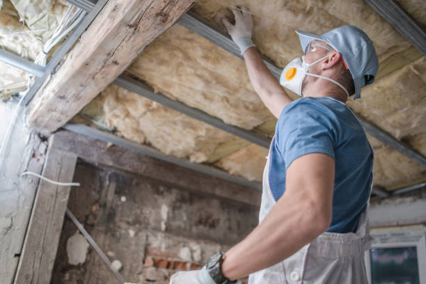 Best Residential Insulation in Wise, VA